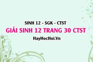 Giải Sinh 12 trang 30 Chân trời sáng tạo SGK